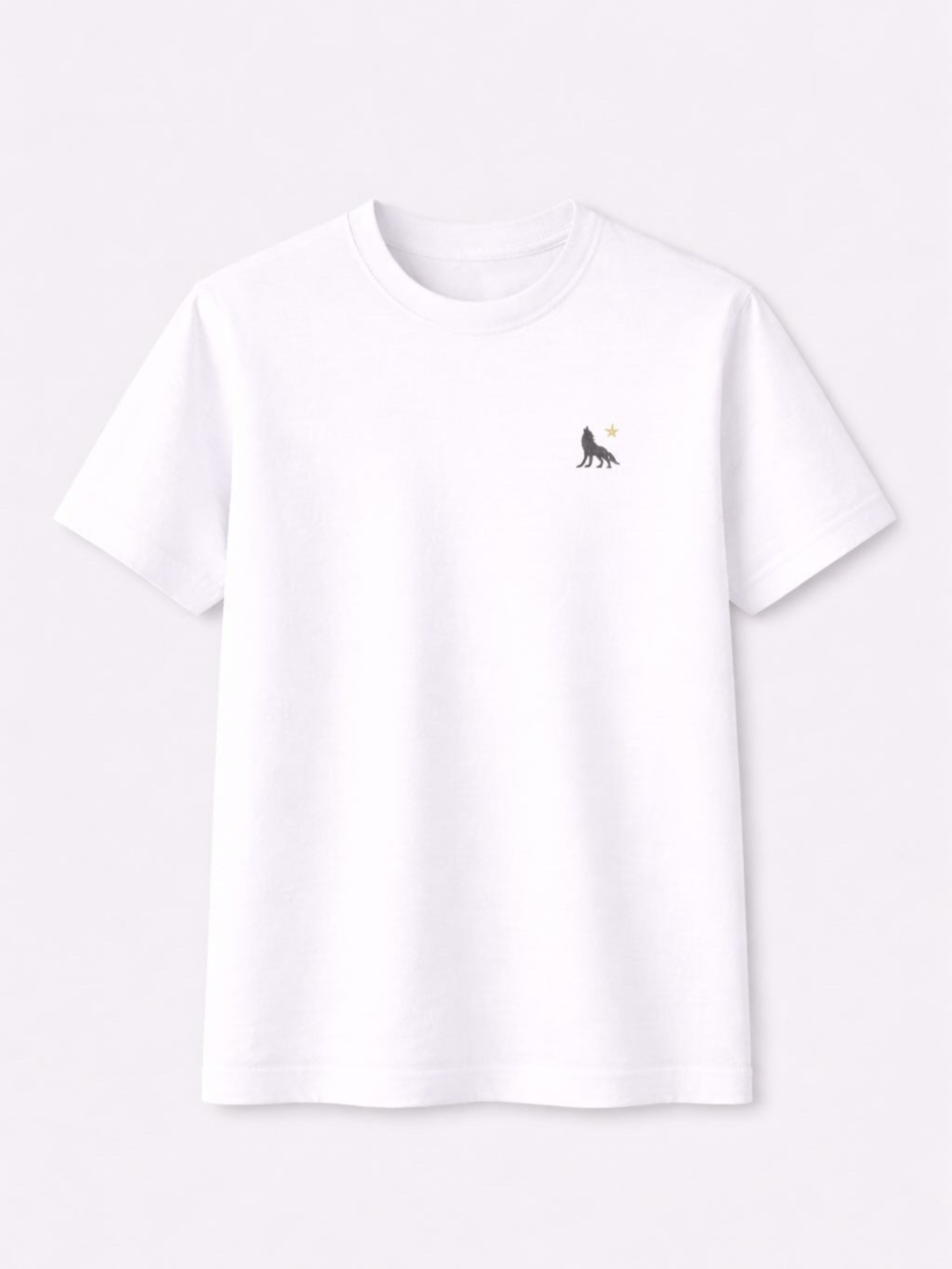 ALPHA POLARIS T-Shirt