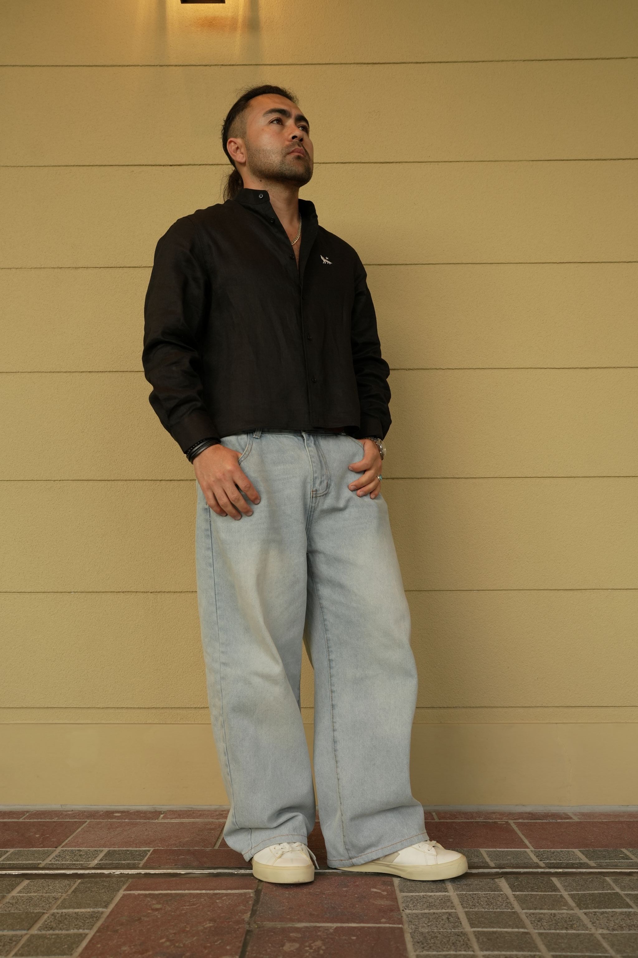 ALPHA POLARIS Pure linen shirt - Loose fit