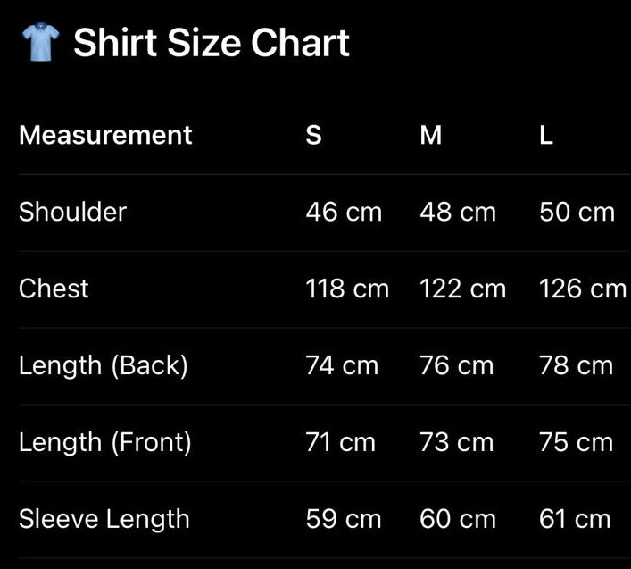 ALPHA POLARIS Pure Linen Shirt — Loose Fit